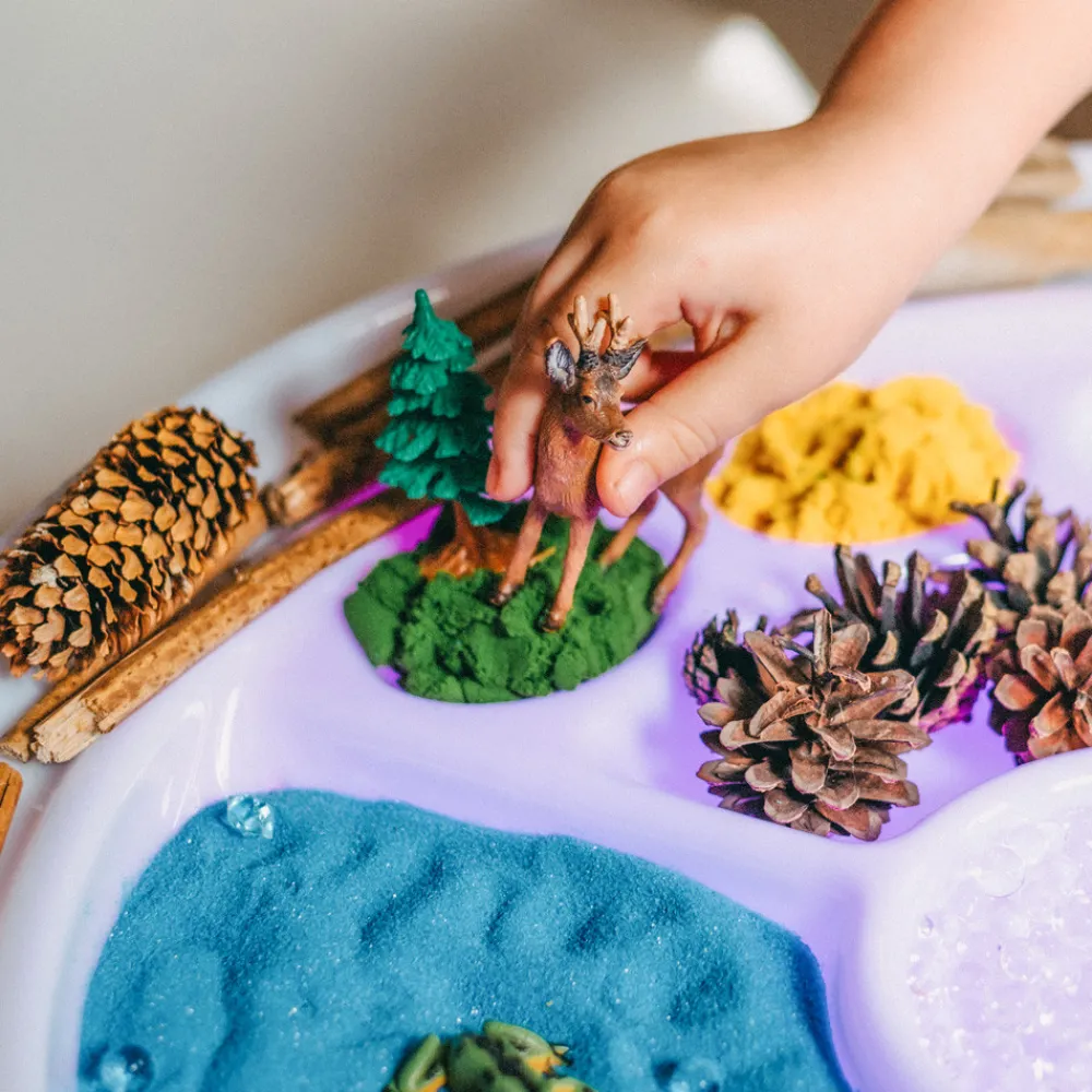 HOPTOYS ReÉducation De La Sensibilite<Bac D'Exploration Rond Magic Light