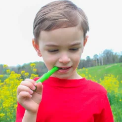 HOPTOYS Oralite Et Alimentation*Baguette Magique - Outil Mastication