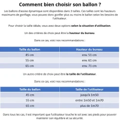 HOPTOYS Apprendre A S'Autoreguler*Ballon D'Assise Dynamique Bouncyband - 55 Cm