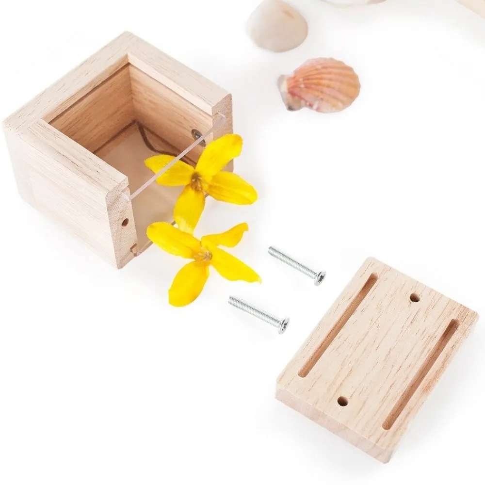 HOPTOYS Jeux Éducatifs Sensoriels*Blocs A Tresors Transparents