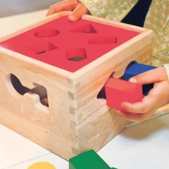 HOPTOYS Coordination Oculomotrice<Boite A Formes