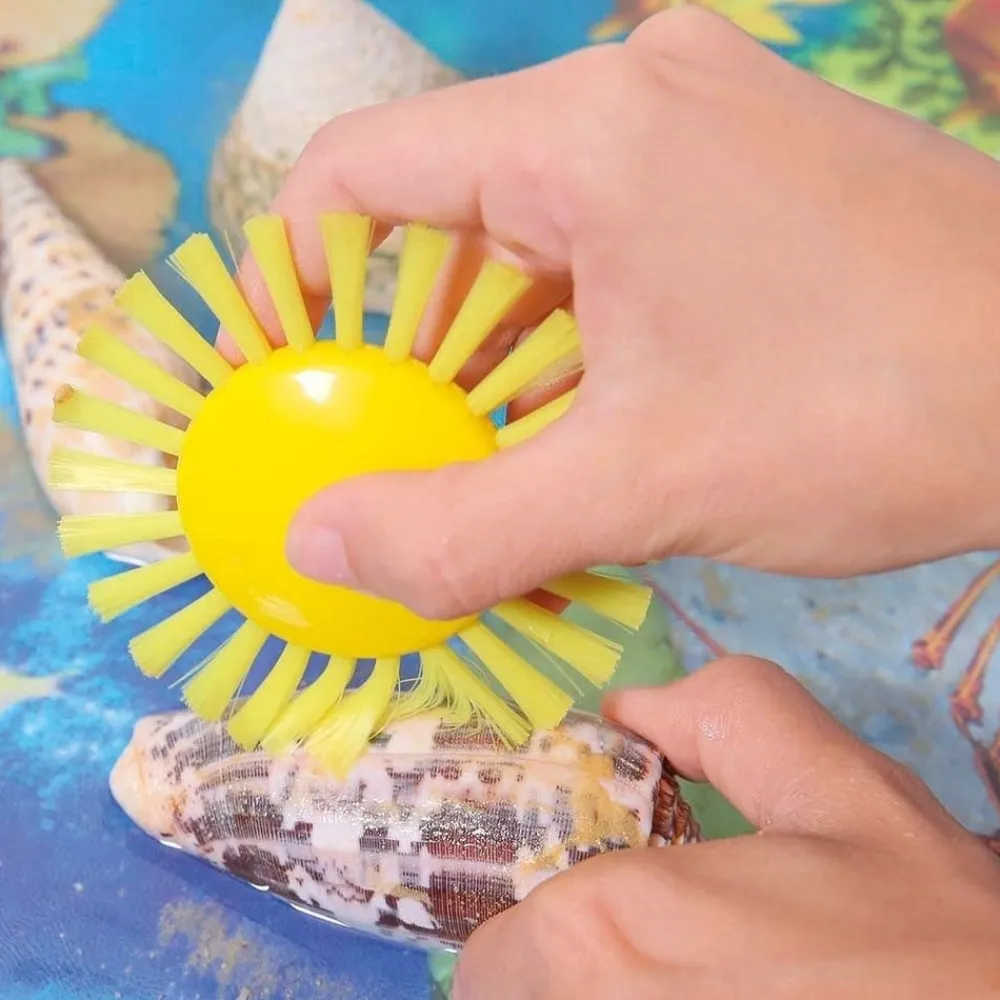 HOPTOYS Jeux D'Imagination*Brosse Soleil