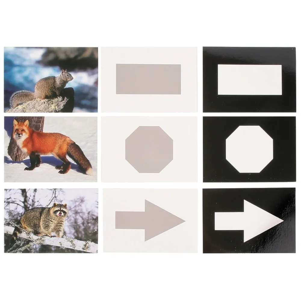 HOPTOYS Lexique, Imagerie, Langage Oral<Construire Le Langage : Les Noms Et Les Images 2