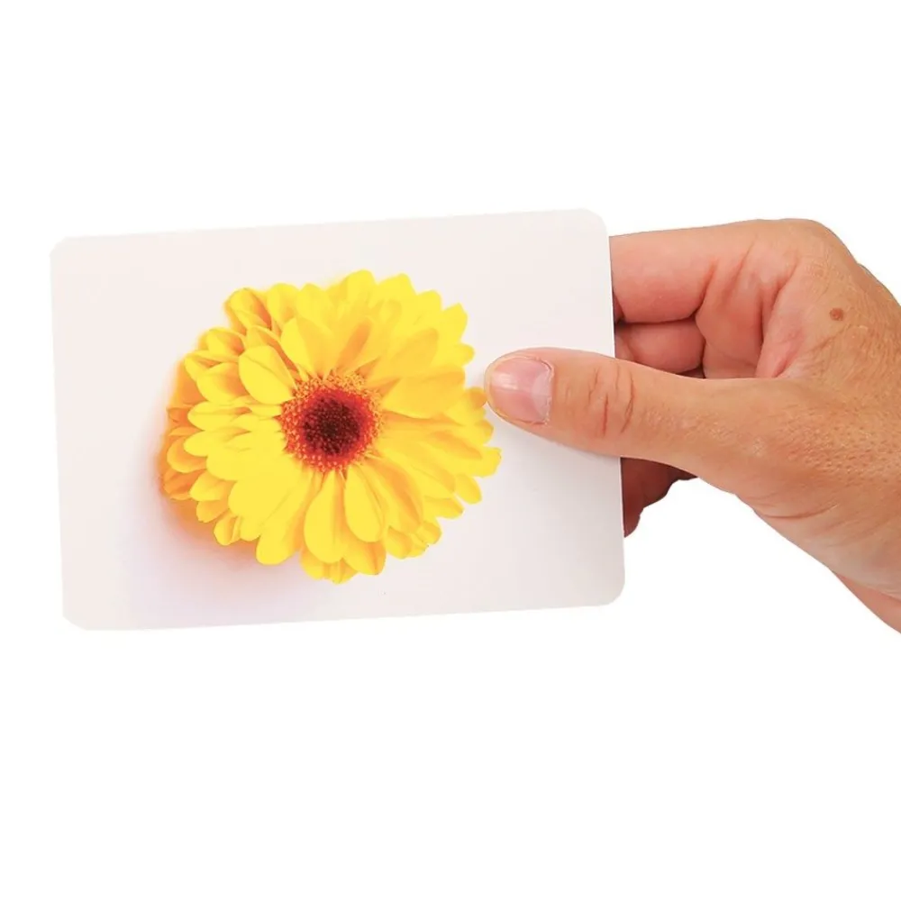 HOPTOYS Lexique, Imagerie, Langage Oral<Construire Le Langage : Les Noms Et Les Images 2