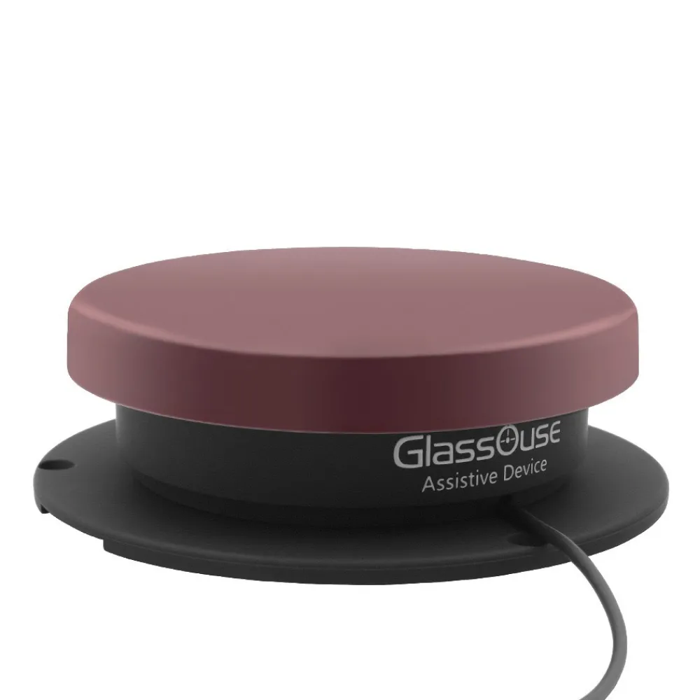 HOPTOYS Contacteurs & Controle Environnement*Contacteur Pression 150 G