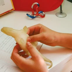 HOPTOYS Intégration Sensorielle<Dinosaure Sensoriel