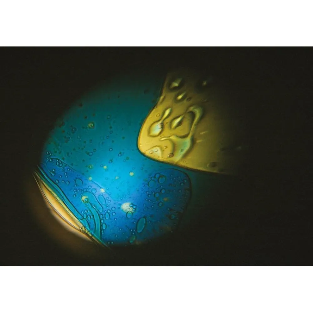 HOPTOYS Cycle 1 (Maternelle)<Disque Gel Bicolore Pour Projecteur De L'Espace