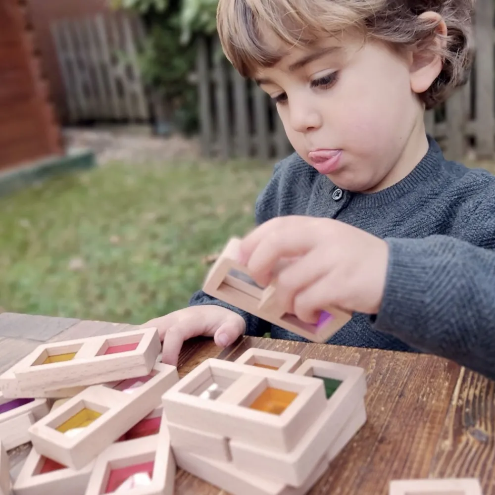 HOPTOYS Jeux Éducatifs Sensoriels*Dominos Translucides