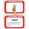 HOPTOYS Lecture<D'Une Lettre A L'Autre