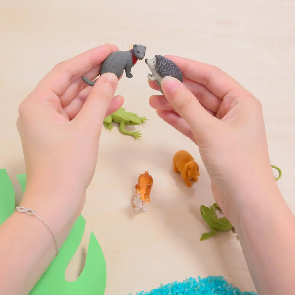 HOPTOYS Lexique, Imagerie, Langage Oral<Figurines Animaux De Compagnie