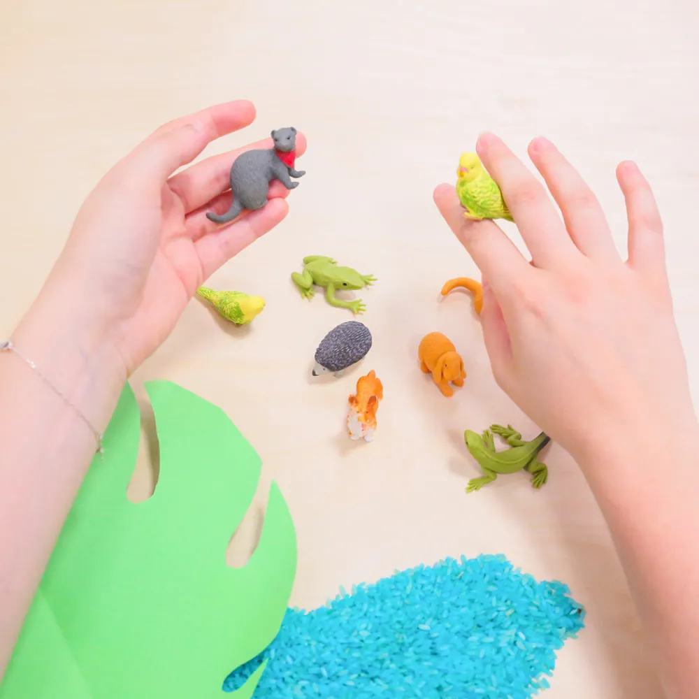 HOPTOYS Lexique, Imagerie, Langage Oral<Figurines Animaux De Compagnie