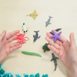 HOPTOYS Lexique, Imagerie, Langage Oral<Figurines Autour De L'Ocean