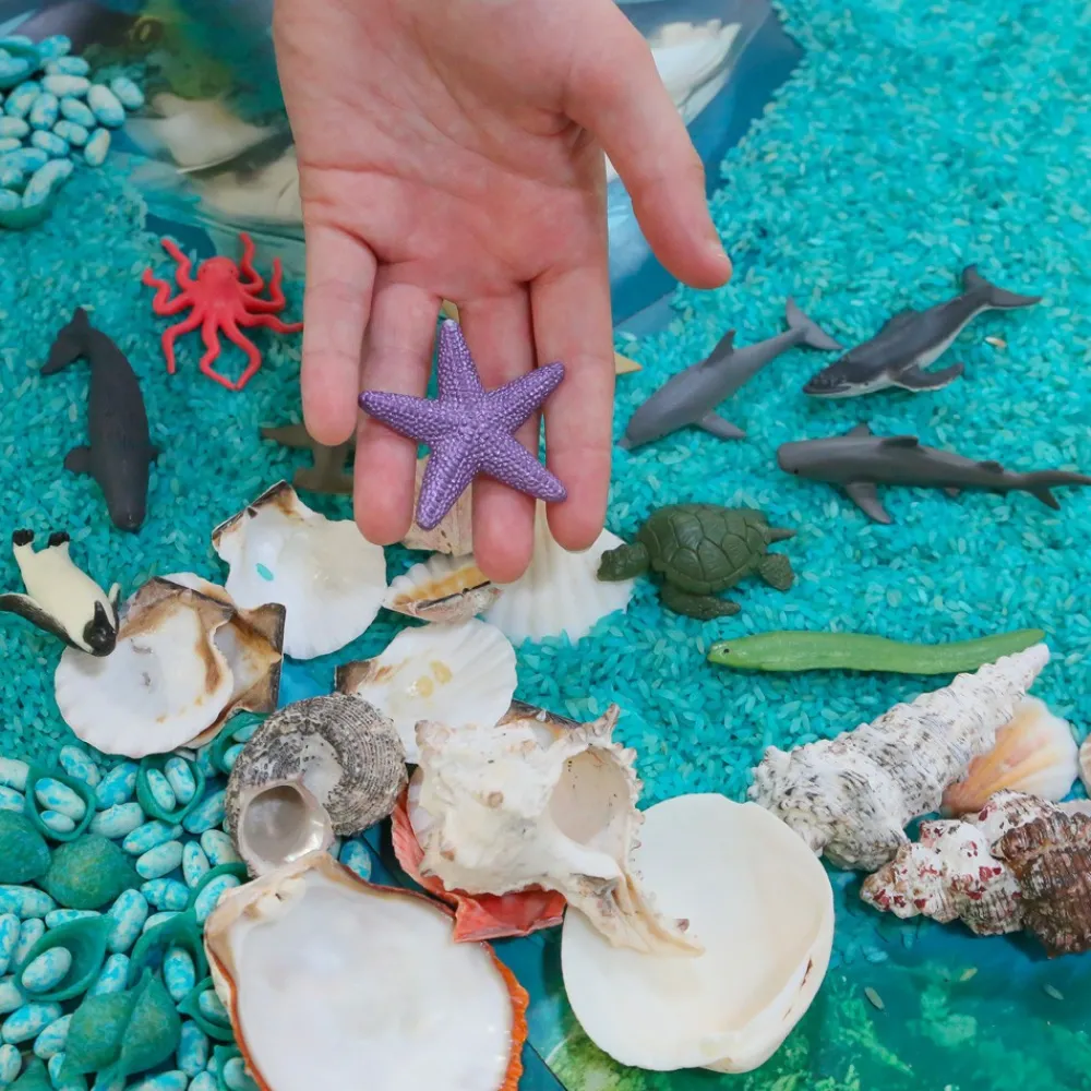 HOPTOYS Stimulation Tactile*Figurines Autour De L'Ocean