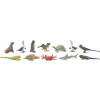 HOPTOYS Lexique, Imagerie, Langage Oral<Figurines Galapagos