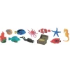 HOPTOYS Lexique, Imagerie, Langage Oral<Figurines Recif De Corail