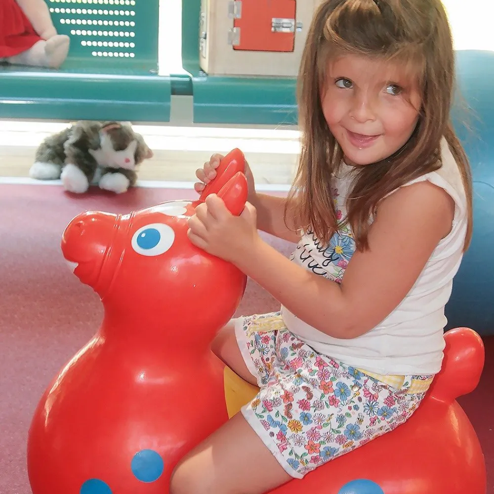 HOPTOYS Jeux Moteurs Pour Tous<Grand Rody Cheval Sauteur