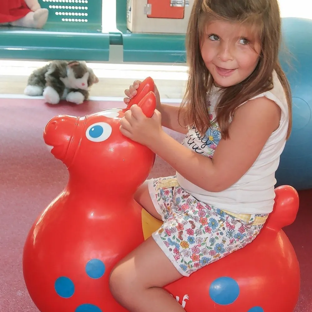 HOPTOYS Motricité Globale & Tonus Musculaire*Grand Rody Cheval Sauteur