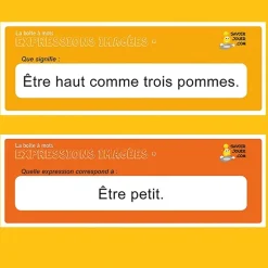 HOPTOYS Jeux Éducatifs*La Boite A Mots: Expressions Imagees