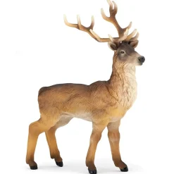 HOPTOYS Imagiers & Jeux De Langage<La Vie Sauvage - La Foret