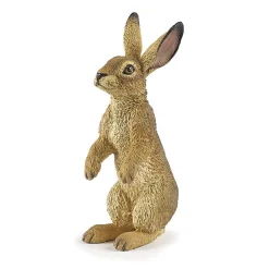 HOPTOYS Imagiers & Jeux De Langage<La Vie Sauvage - La Foret