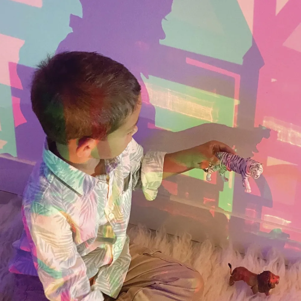 HOPTOYS Stimulation Tactile*La Vie Sauvage - Les Felins