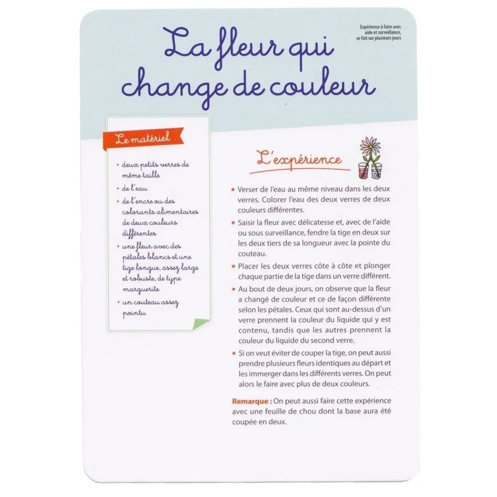 HOPTOYS Matériel Montessori & Reggio*Les Experiences De Sciences Avec Montessori