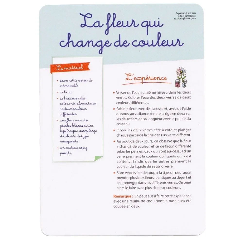 HOPTOYS Attention, Attention Divisee, Concentration<Les Experiences De Sciences Avec Montessori
