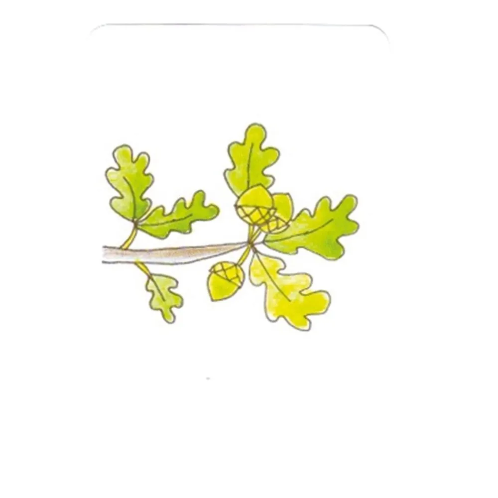 HOPTOYS Jeux Pour Apprendre A Se Concentrer*Les Histoires A Raconter Montessori