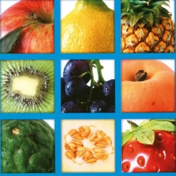 HOPTOYS Attention, Impulsivite, Concentration<Loto Des Fruits