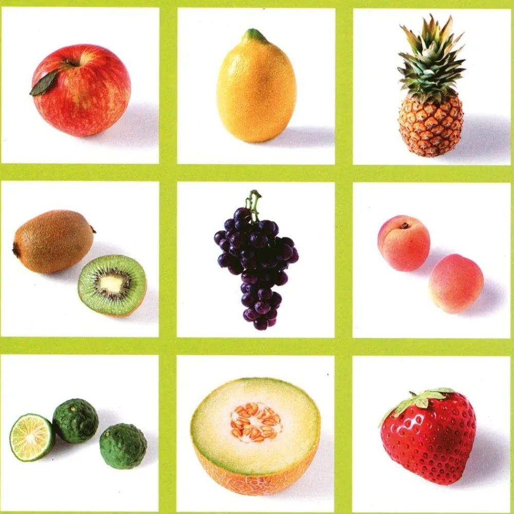 HOPTOYS Attention, Impulsivite, Concentration<Loto Des Fruits