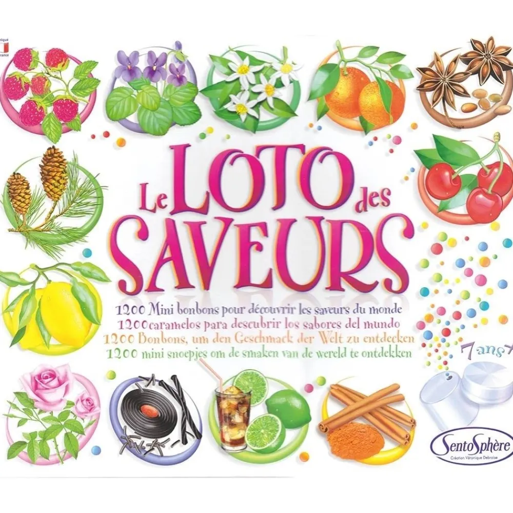 HOPTOYS Idees Cadeaux Pour Une Personne Avec Un Handicap Visuel*Loto Des Saveurs