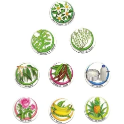 HOPTOYS ReÉducation De La Sensibilite<Loto Des Saveurs