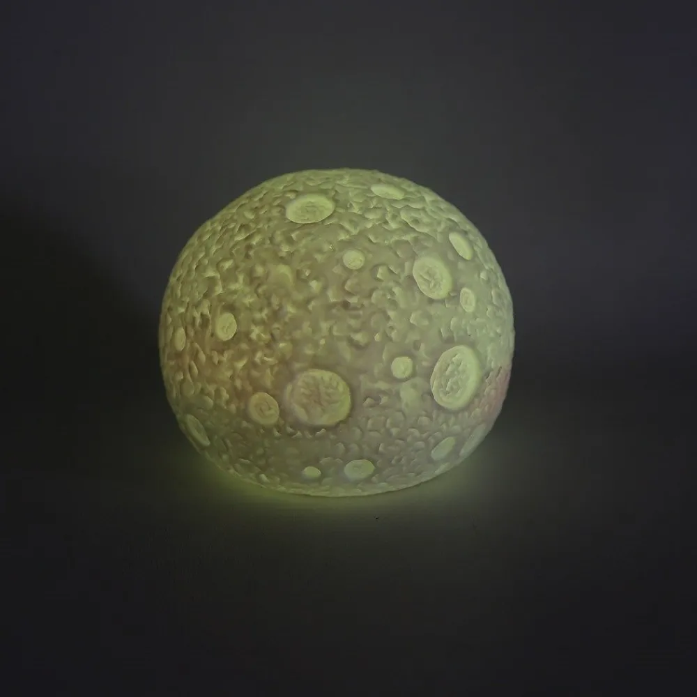 HOPTOYS Cycle 1 (Maternelle)<Lune Lumineuse