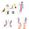 HOPTOYS Lateralite<Ma Droite Et Ma Gauche