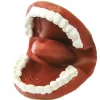 HOPTOYS Praxies Bucco-Faciales<Marionnette Bavarde