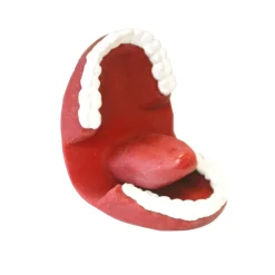 HOPTOYS Praxies Bucco-Faciales<Marionnette Bavarde