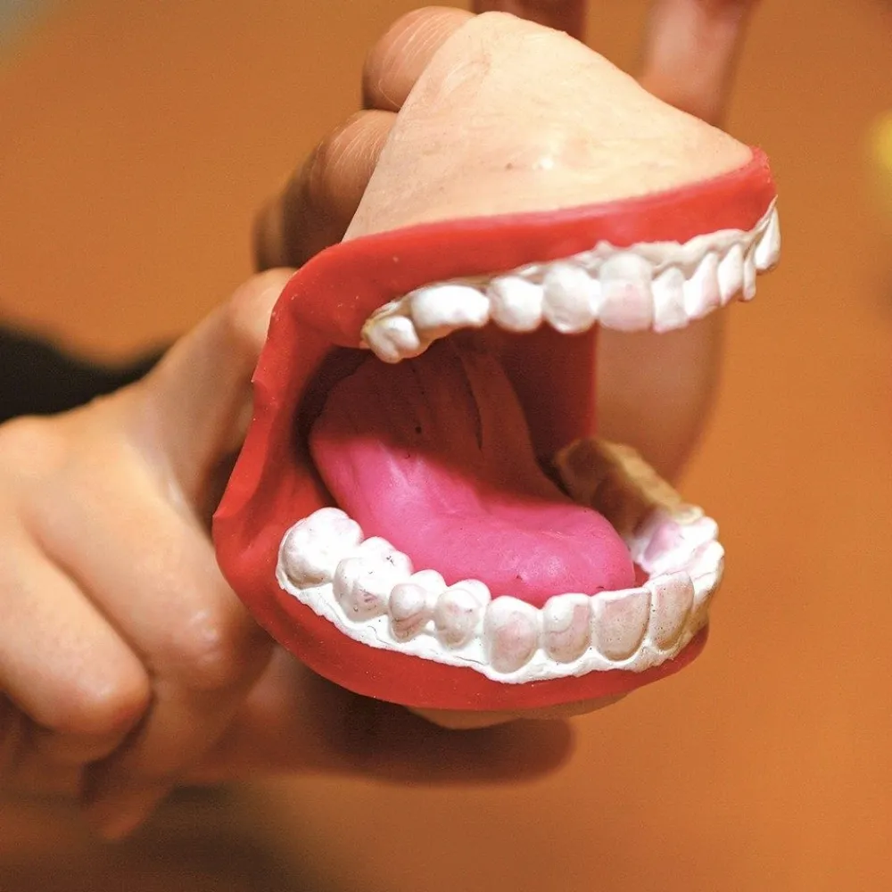 HOPTOYS Stimulation De La Zone Oro-Faciale*Marionnette Bavarde