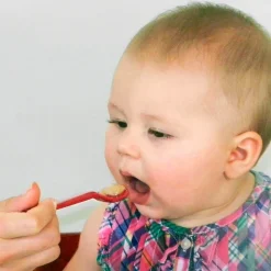 HOPTOYS Oralite Et Alimentation*Maroon Spoon - Cuilleres Ark