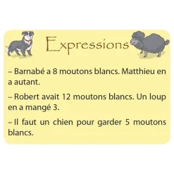 HOPTOYS Raisonnement Logico-Mathematique<Maths Et Moutons