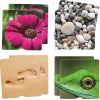HOPTOYS Jeux Éducatifs Sensoriels*Maxi-Memory Tactile De La Nature