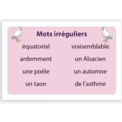 HOPTOYS Compréhension Orale & Ecrite<Ortho Cat'S 3 - Les Mots