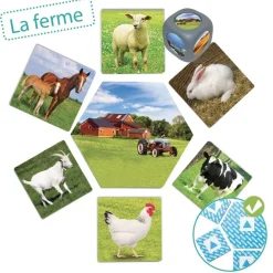 HOPTOYS Jeux Éducatifs*Ou Les Animaux Vivent-Ils ?