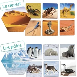 HOPTOYS Imagiers & Jeux De Langage<Ou Les Animaux Vivent-Ils ?