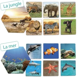 HOPTOYS Imagiers & Jeux De Langage<Ou Les Animaux Vivent-Ils ?