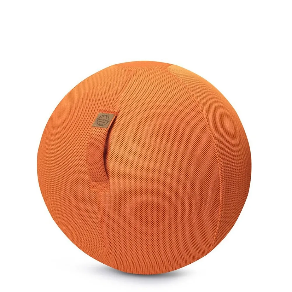 HOPTOYS Matériel Scolaire*Sitting Ball Filet 65 Cm