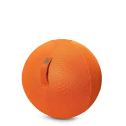HOPTOYS Matériel Scolaire*Sitting Ball Filet 55 Cm