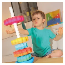 HOPTOYS Intervention Precoce*Spinagain