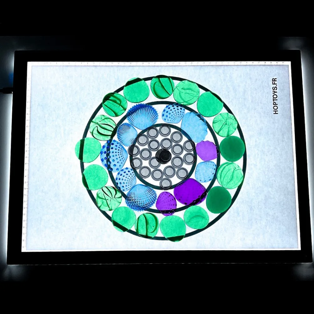 HOPTOYS Idees Cadeaux Pour Une Personne Avec Un Handicap Visuel*Table Lumineuse A4