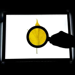 HOPTOYS Aides Motivationnelles, Recompenses, Renforcateurs<Table Lumineuse A4