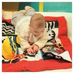 HOPTOYS Eveil & Experimentation Sensoriels<Tapis D'Eveil Contraste